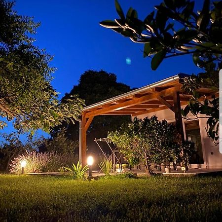 Holiday House Lucia Sukošan Exteriér fotografie